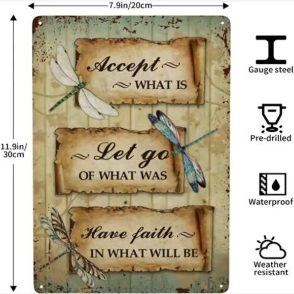 NEW!! Dragonfly: Accept What Is, Let Go of What Was, Have Faith in What Will Be - Picture 1 of 6